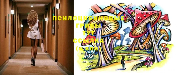сатива Гусиноозёрск