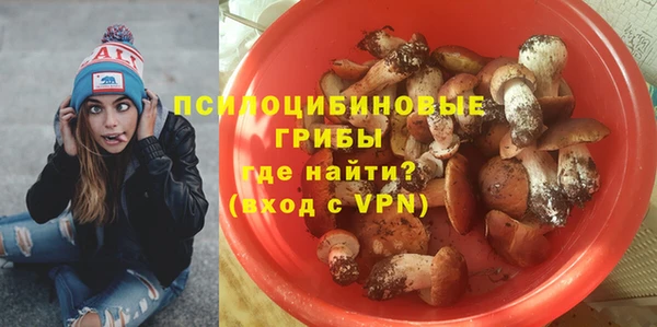 мдма Гусев