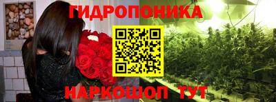 крисы Бузулук