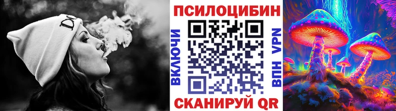 купить закладку  Волжск  Псилоцибиновые грибы GOLDEN TEACHER 