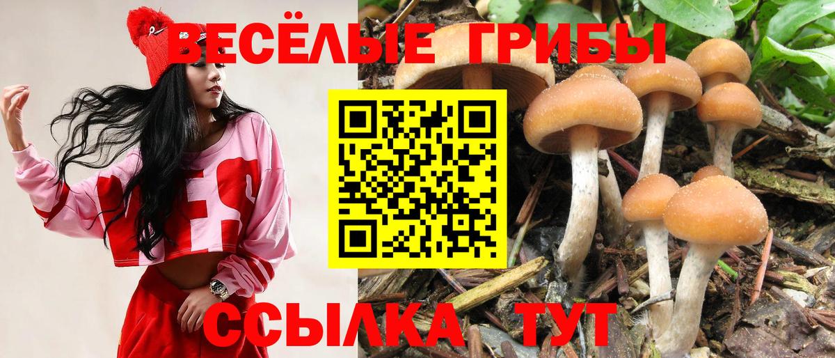 Волжск  Псилоцибиновые грибы Psilocybe  Вход с VPN  Псилоцибиновые грибы Magic Shrooms 