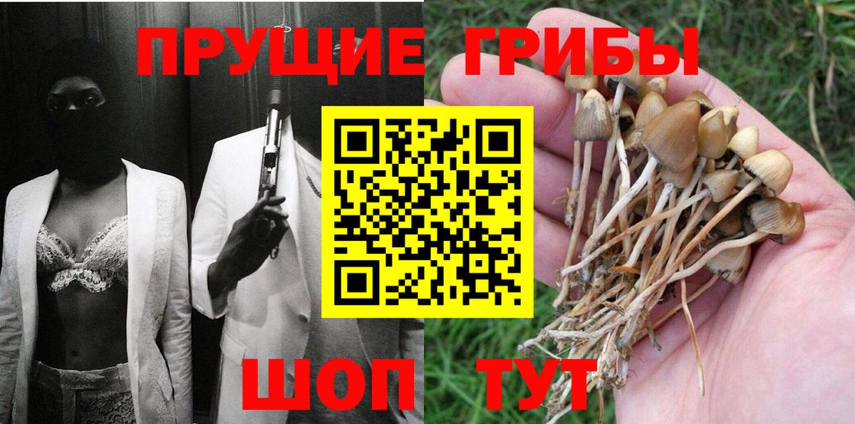 Волжск  Галлюциногенные грибы прущие грибы  Вход с VPN 