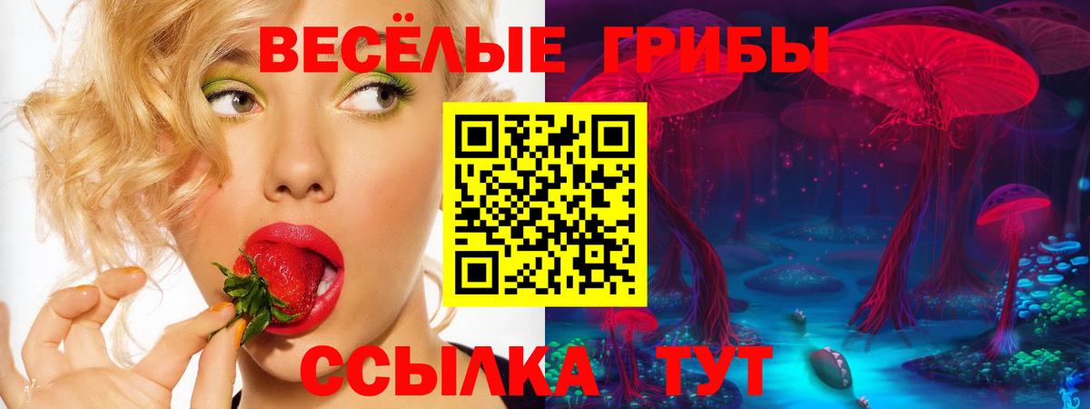 Галлюциногенные грибы Psilocybine cubensis Волжск