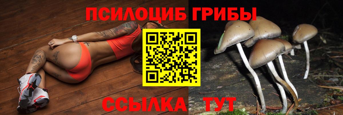Псилоцибиновые грибы Magic Shrooms  Волжск 