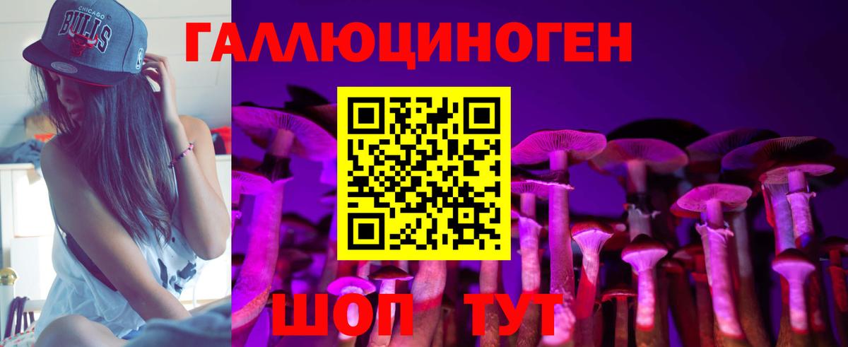 Галлюциногенные грибы Psilocybine cubensis Волжск